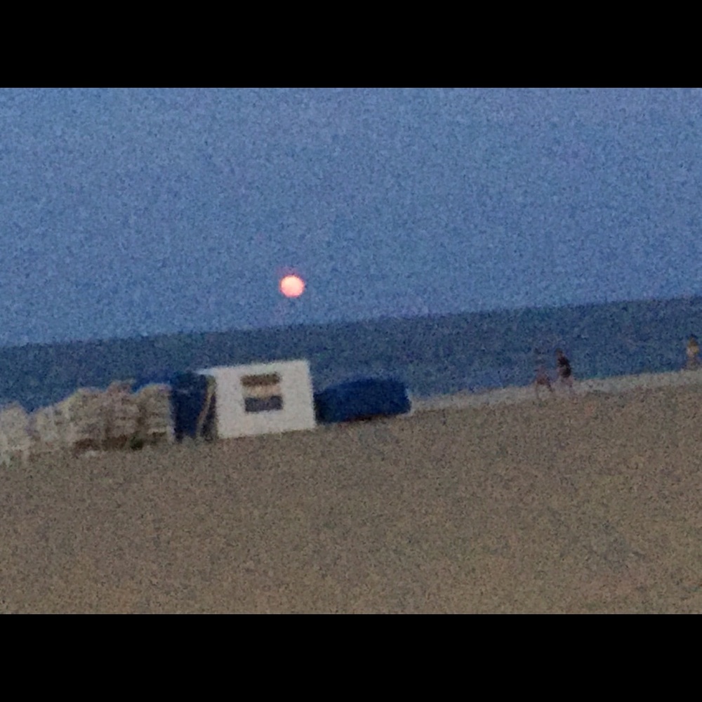 Meet your Posher, Jana